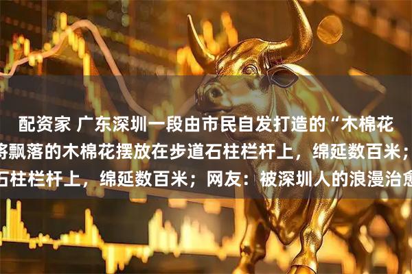 配资家 广东深圳一段由市民自发打造的“木棉花走廊”走红，路人接力将飘落的木棉花摆放在步道石柱栏杆上，绵延数百米；网友：被深圳人的浪漫治愈