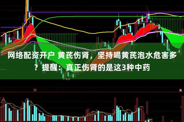 网络配资开户 黄芪伤肾，坚持喝黄芪泡水危害多？提醒：真正伤肾的是这3种中药