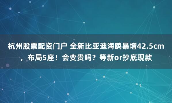 杭州股票配资门户 全新比亚迪海鸥暴增42.5cm，布局5座！会变贵吗？等新or抄底现款